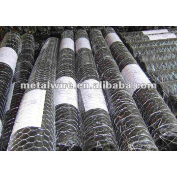 Galvanized Chicken Wire Mesh